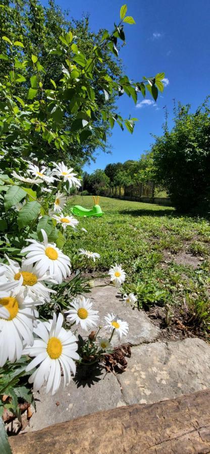Le Gite Du Nohain Entrains-sur-Nohain Buitenkant foto
